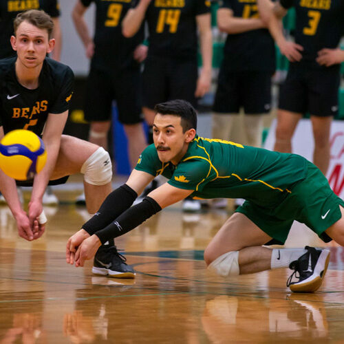 Landon CURRIE uit Canada tekent als libero